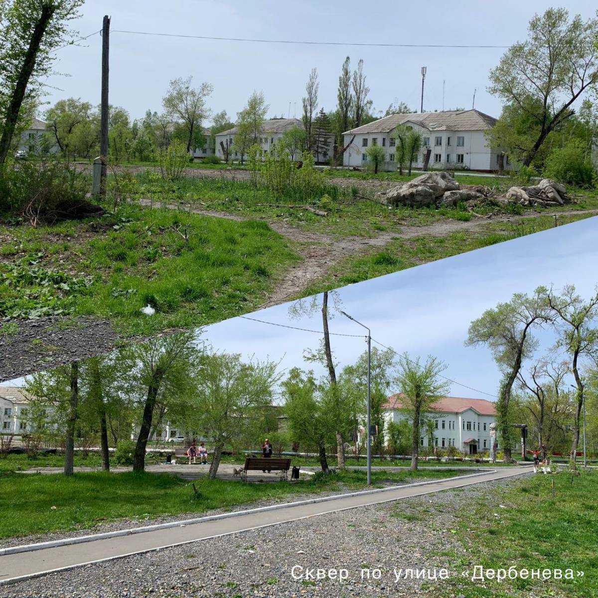 skver derbeneva