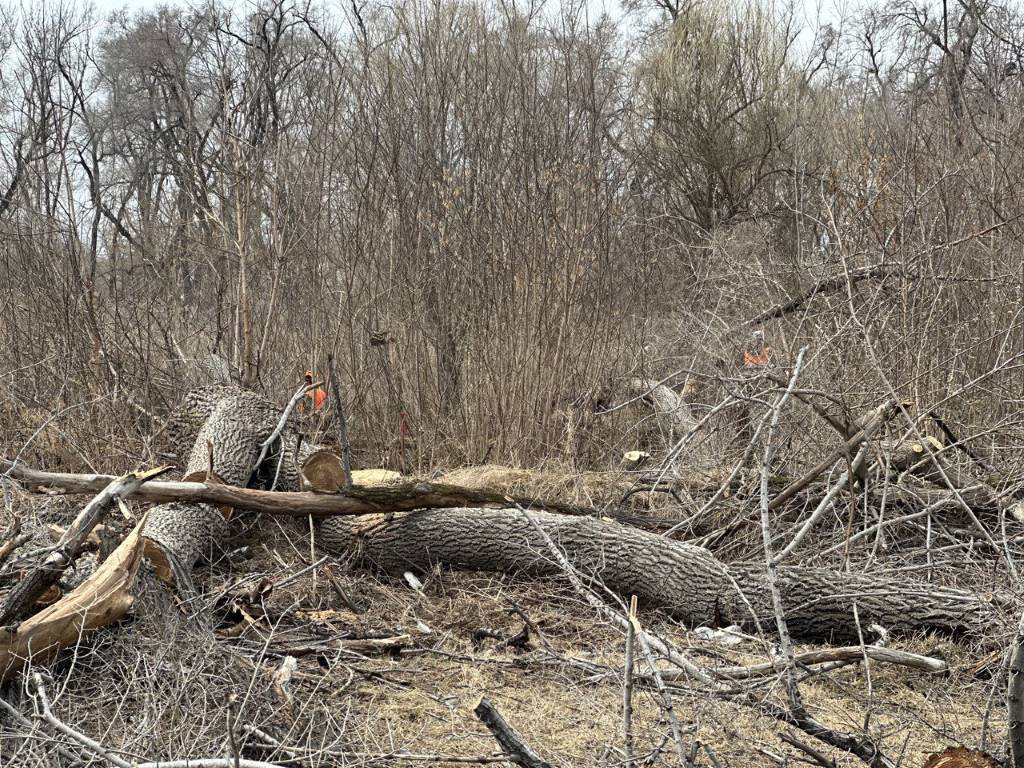 photo1680737850 1