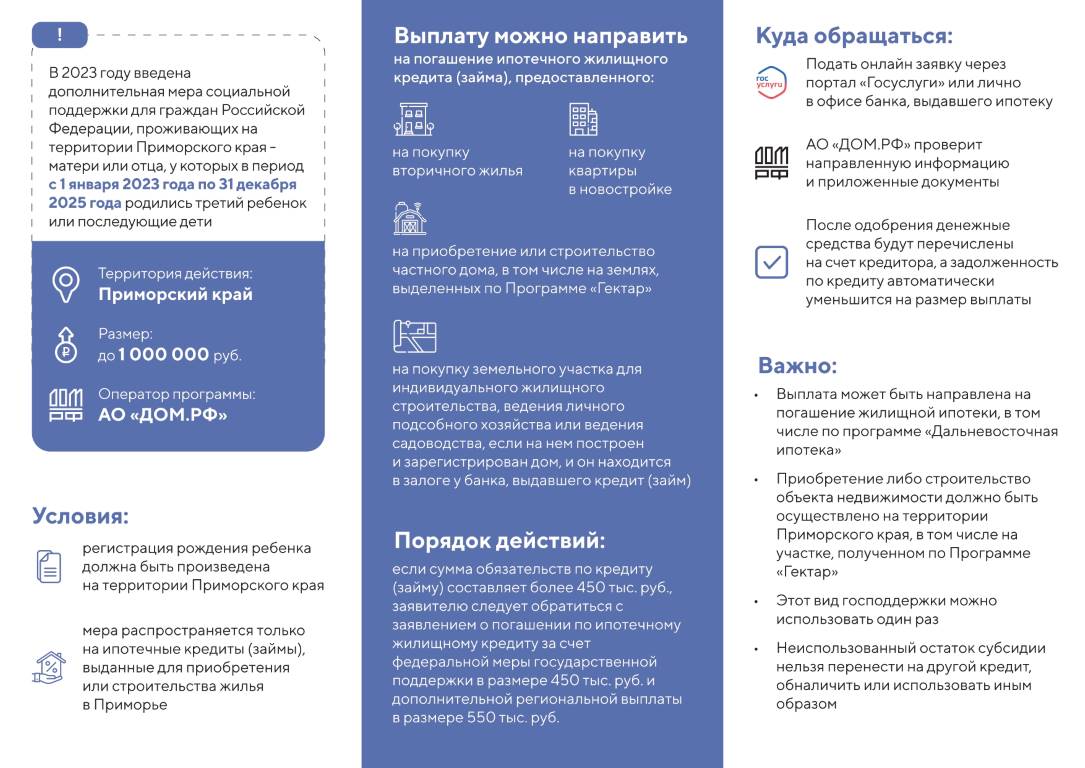 1 mln flaer primorskiy kray 1 page 0002