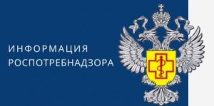 SaytNovosti 1 