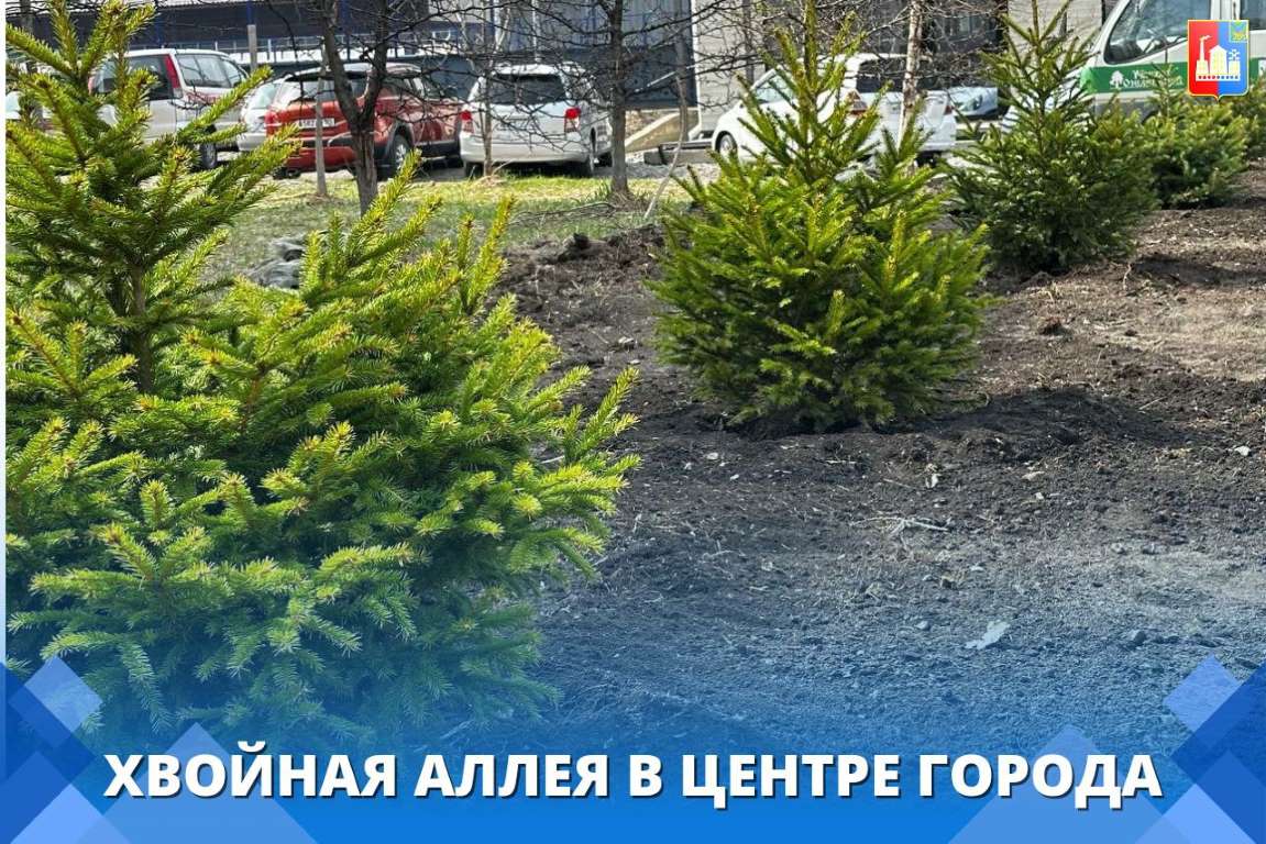 hvoynaya alleya