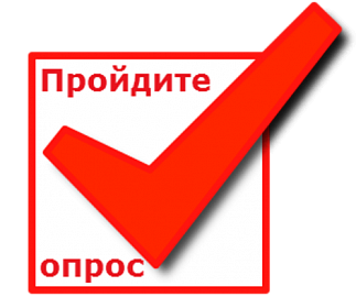 photo8